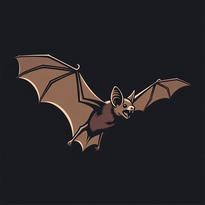 Bat flying in dark background