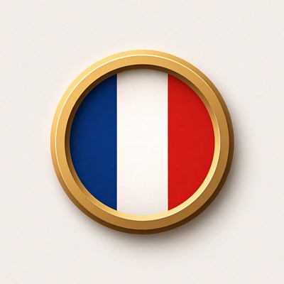 France flag with gold outline