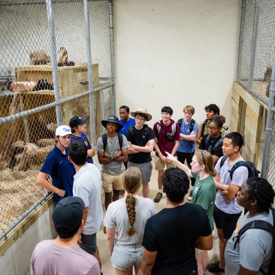 Students learn about animal care in facility