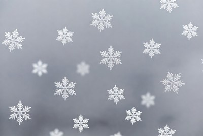Snowflakes on a gray background