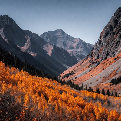 Mountains with orange trees in autumn