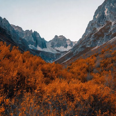 Vibrant autumn colors in mountain landscape