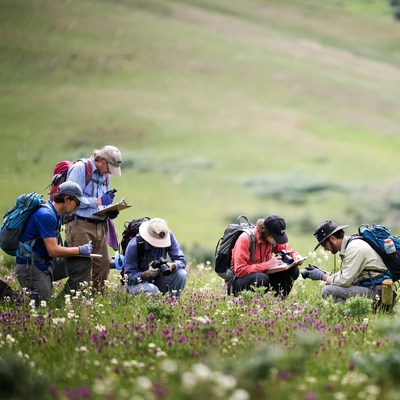 Students conduct research in field