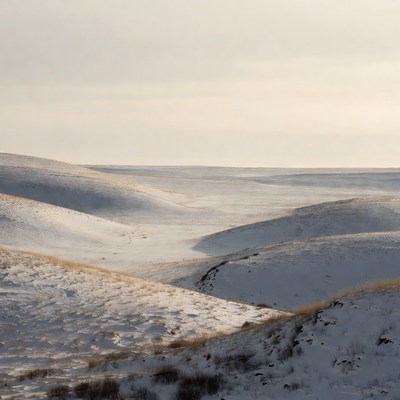 Winter landscape in open fields