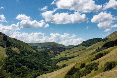 Sunny day in green hills