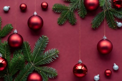 Decorative red ornaments with pine