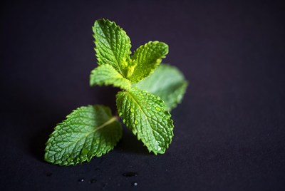 Fresh mint leaves on black surface