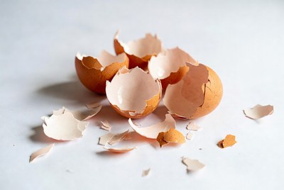 Eggshells scattered on white surface