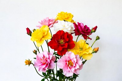 Bright bouquet of colorful flowers in spring