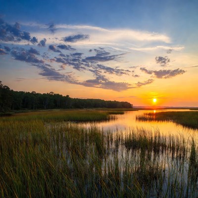 Sunset over a wetland landscape