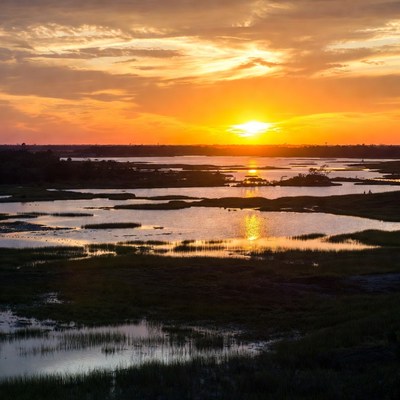 Sunset over wetland landscape at dusk