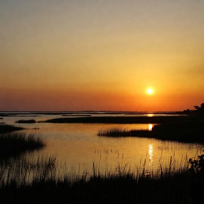 Sunset over a marshland at dusk