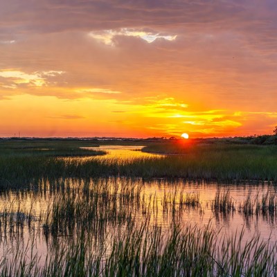 Sunset over the marsh landscape