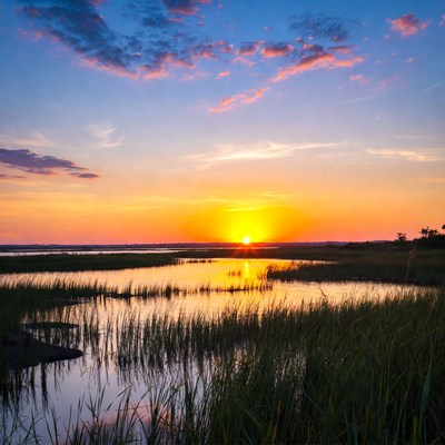 Sunset over wetland landscape during evening