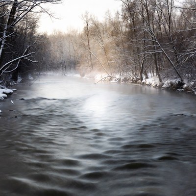 Winter river with snow and trees