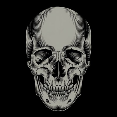 Skull illustration on black background