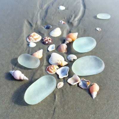 Seashells and sea glass collection