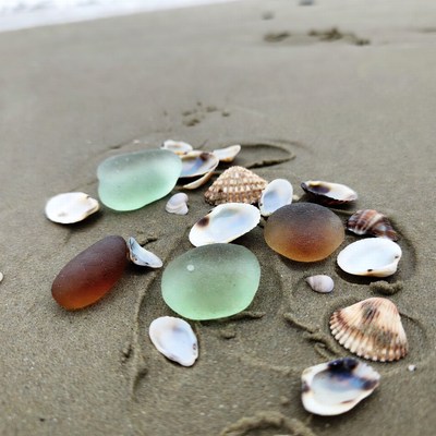 Sea glass and shells on beach sand