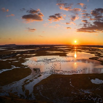Sunset over wetlands with birds gathering