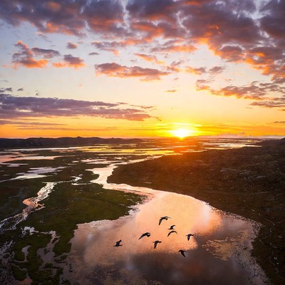 Sunset over wetlands with flying birds
