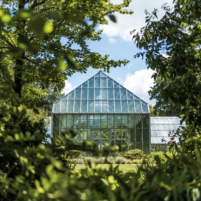 Greenhouse in a garden setting