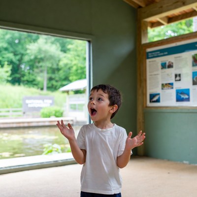 Kid shows surprise inside nature center