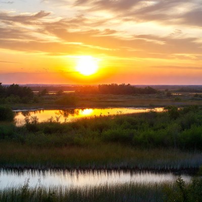 Sunset over the wetland landscape