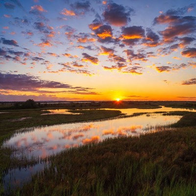 Sunset over a marsh landscape