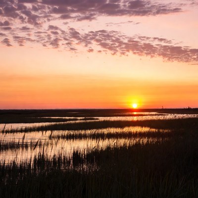 Sunset over marshland near water