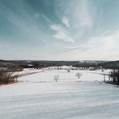 Winter landscape with snow and trees