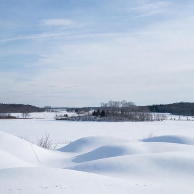 Snow-covered landscape in winter season