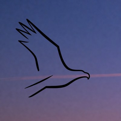 Silhouette of a bird in flight at sunset