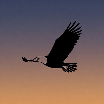 Eagle flying at sunset with branch