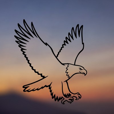 Eagle in flight at sunset