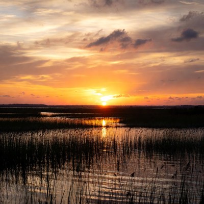 Sunset over wetland landscape at dusk