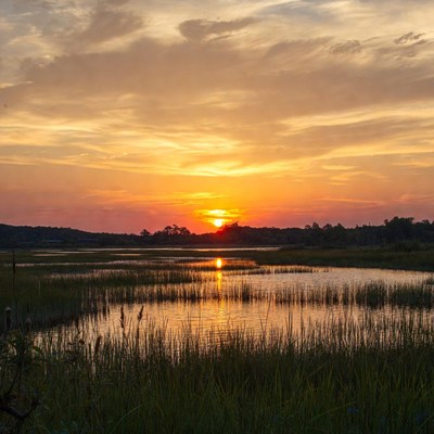Sunset over the marshland near water