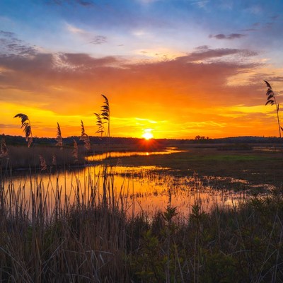 Sunset over the marshland horizon