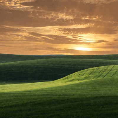 Sunset over green hills in landscape