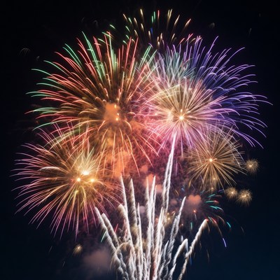 Colorful fireworks in night sky display