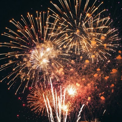 Bright fireworks light up night sky