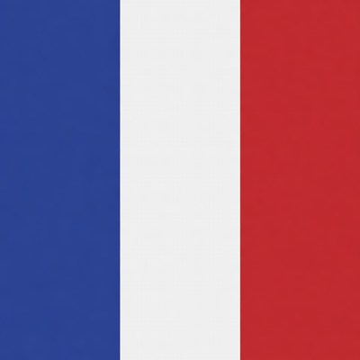 French flag waving in the wind