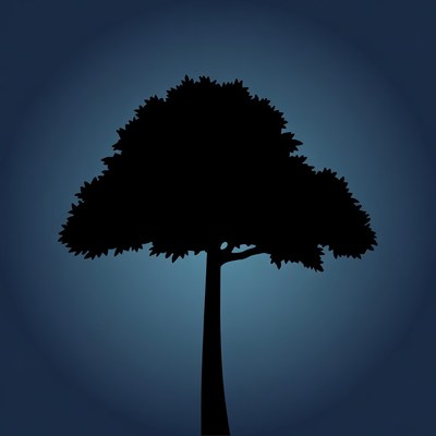 Silhouette of a tree at night