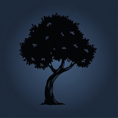 Silhouette of a tree against dark background