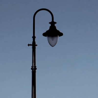 Street lamp silhouette in twilight sky