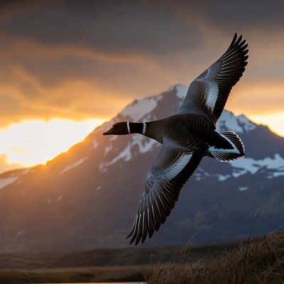 Bird in flight over mountains at sunset
