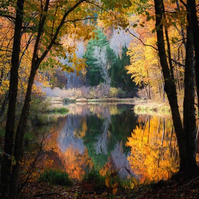 Autumn colors by the lake