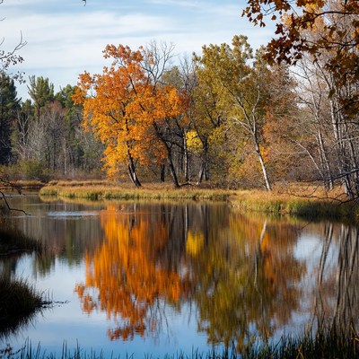 Autumn trees reflect on calm water