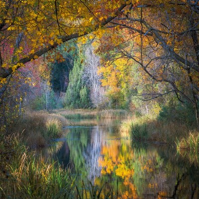 Autumn colors by the waterway