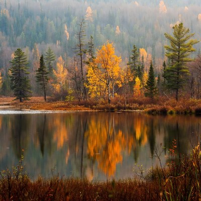 Autumn trees reflecting in quiet lake