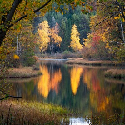 Autumn colors reflect in water